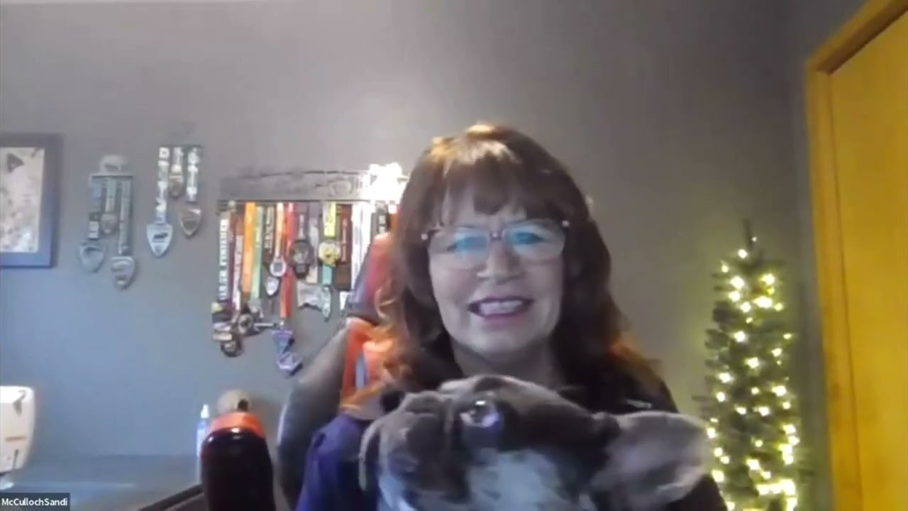 TomKings Kennel - Frenchie Fiesta - Sandi