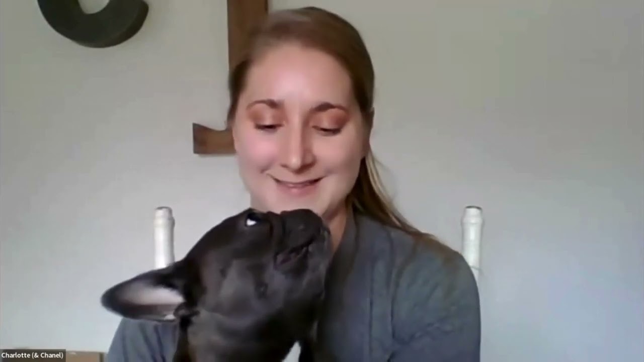TomKings Kennel - Frenchie Fiesta - Charlotte