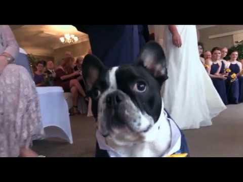 George saves the wedding day