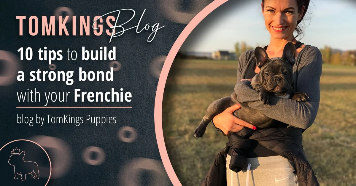 TomKings Blog banner for 10 tips to build a strong bond with your Frenchie