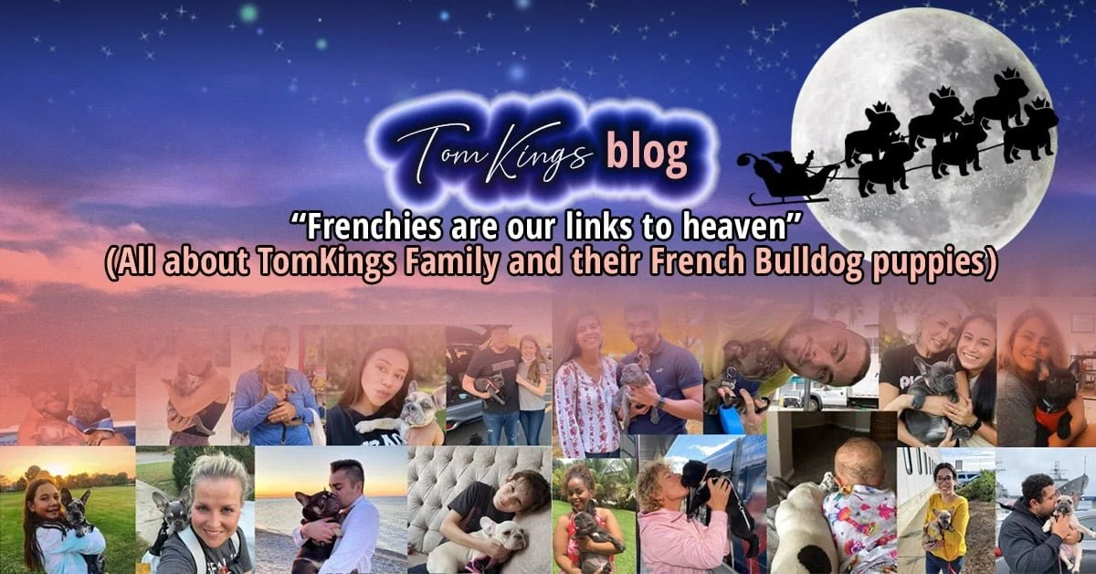 TomKings blog banner Frenchies are our links to heaven, with a moonlit sleigh silhouette and a collage of owners holding puppies