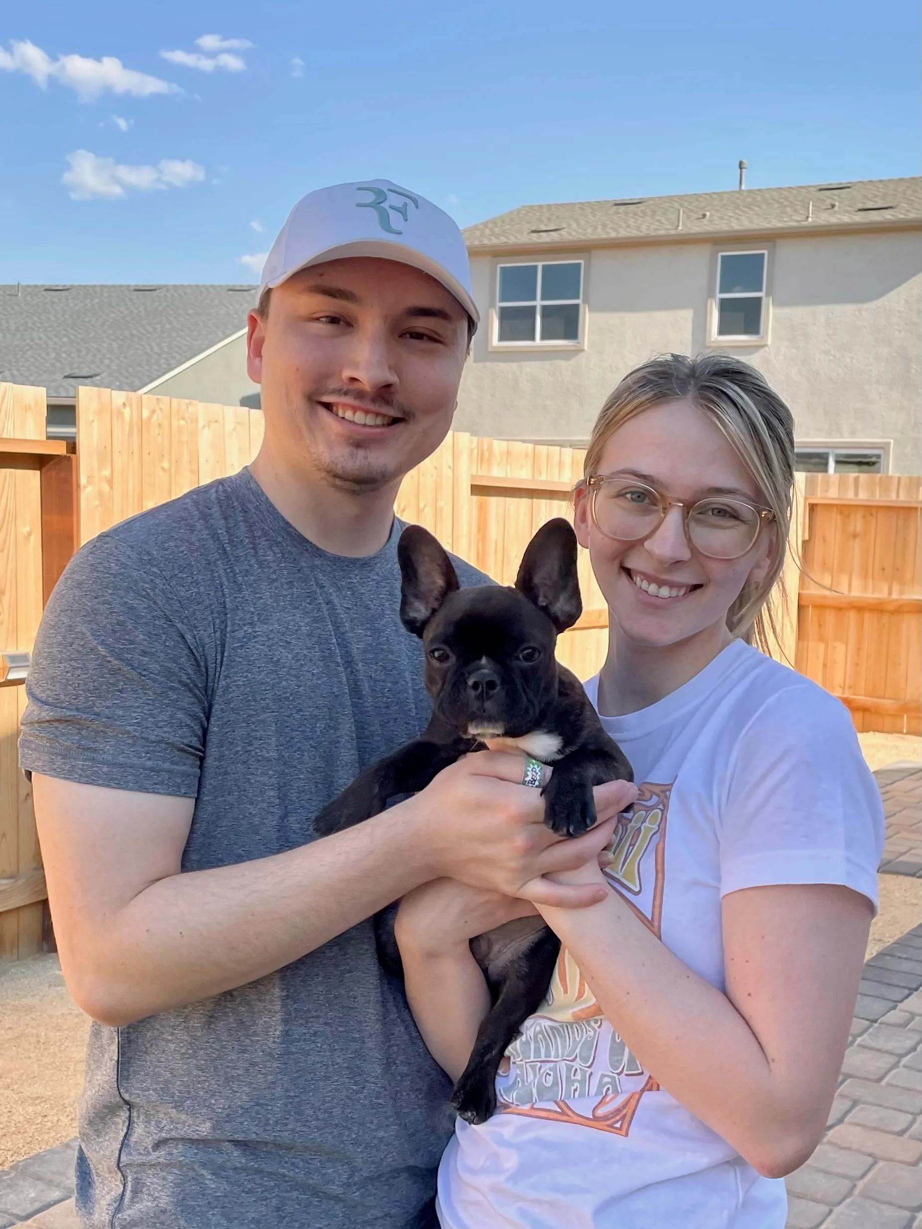 TomKings Puppies reference french bulldog