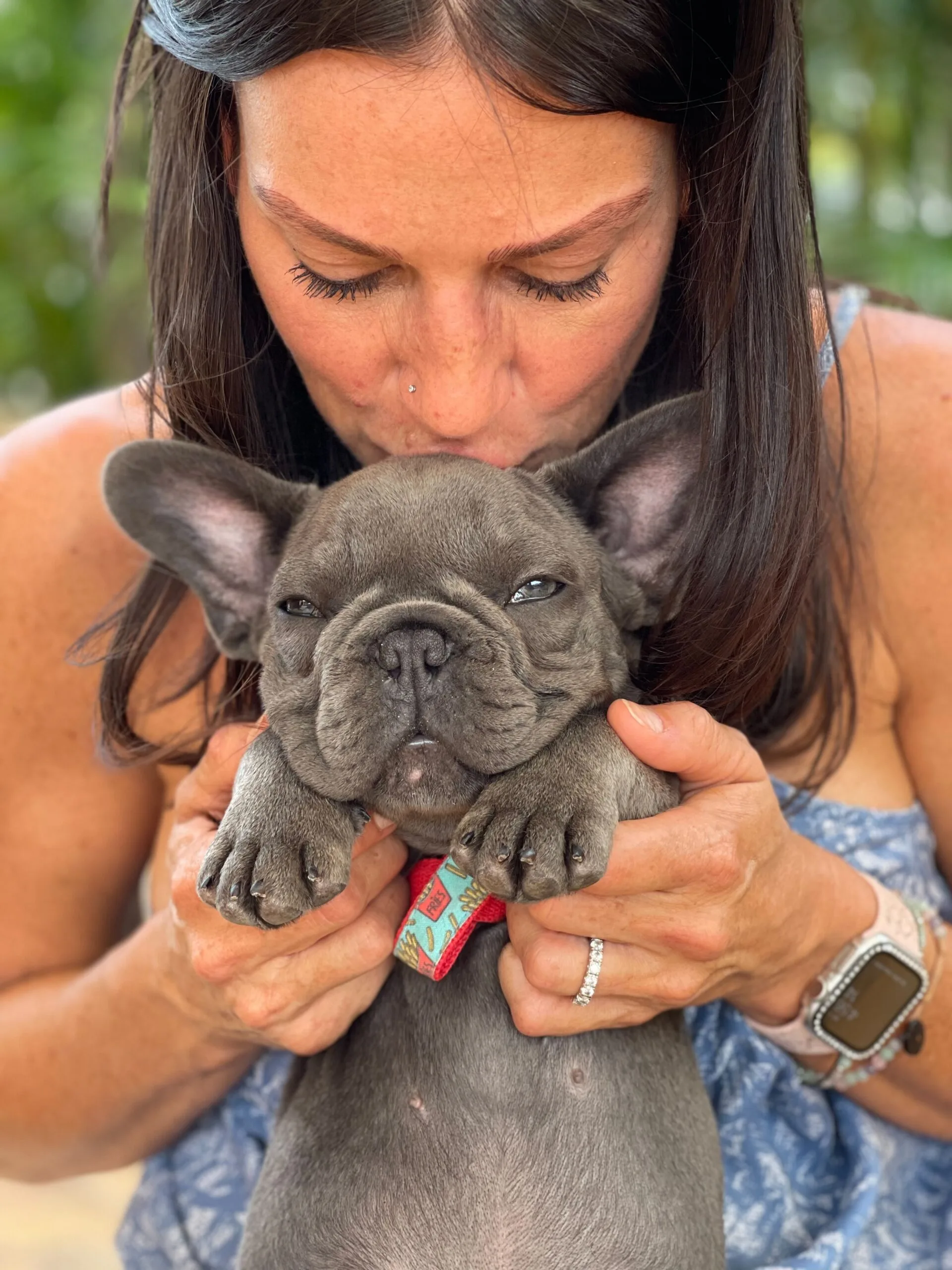 TomKings Puppies reference french bulldog