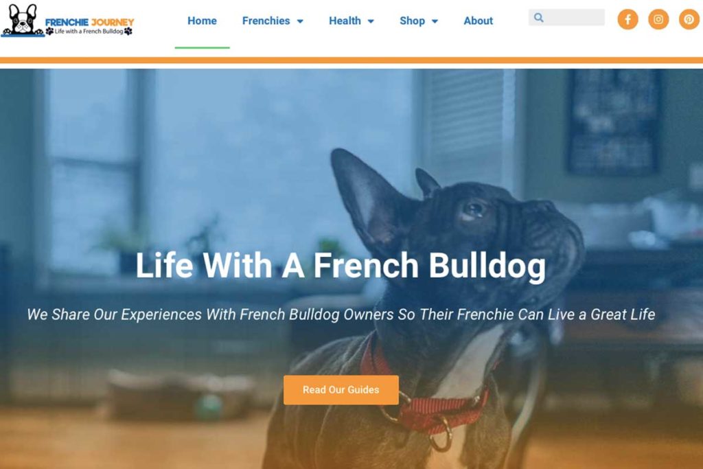 How a Frenchie parent created a successful Frenchie website? - TomKings Blog