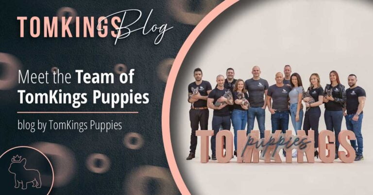 Meet the Team of TomKings Puppies - TomKings Blog