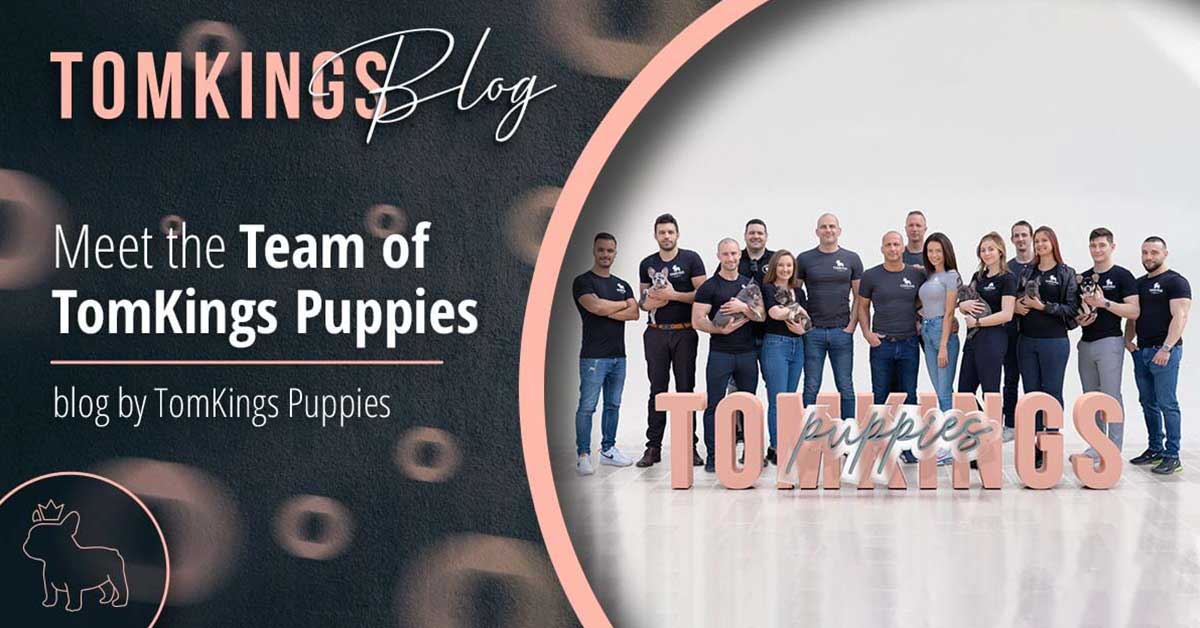 Meet the Team of TomKings Puppies TomKings Kennel