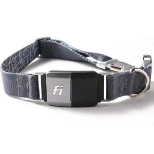 Fi Series 2 GPS Tracker Smart Dog Collar