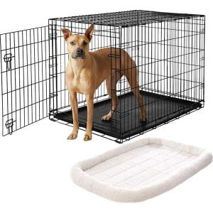 Frisco Heavy Duty Fold & Carry Single Door Collapsible Wire Dog Crate + Quilted Crate Mat, Ivory