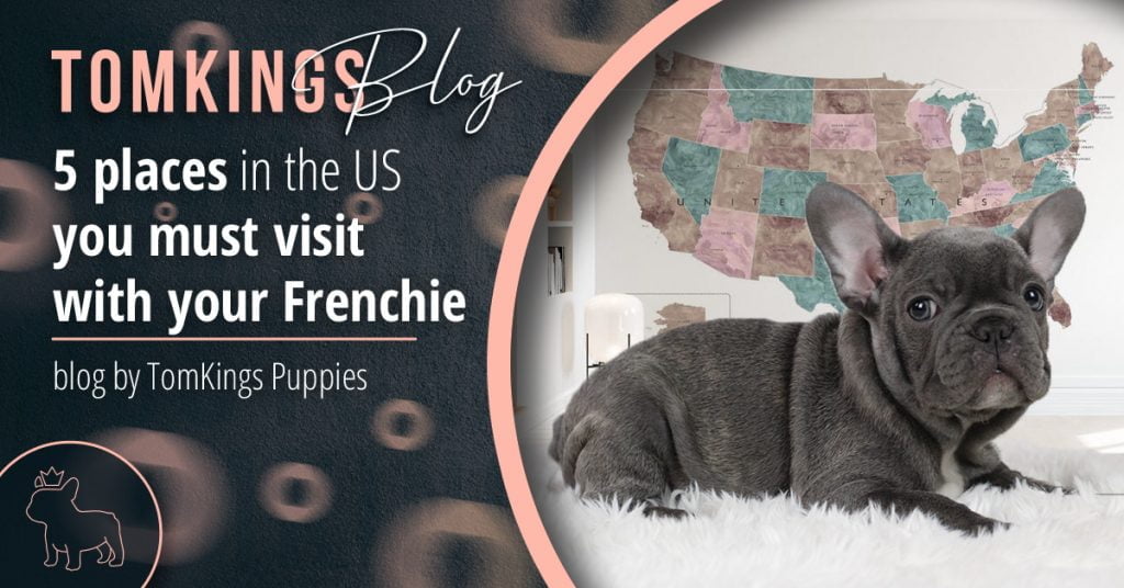 5 places in the US you must visit with your Frenchie - TomKings Blog