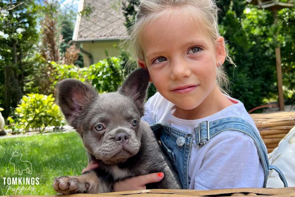 10 tips to build a strong bond with your Frenchie - TomKings Blog
