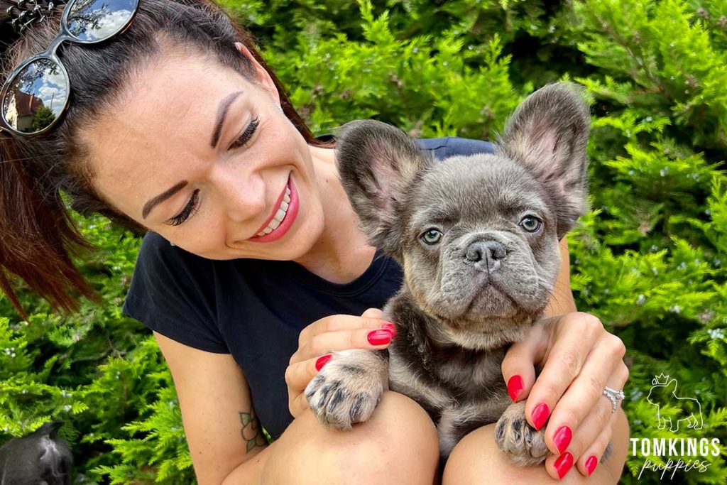 10 tips to build a strong bond with your Frenchie - TomKings Blog