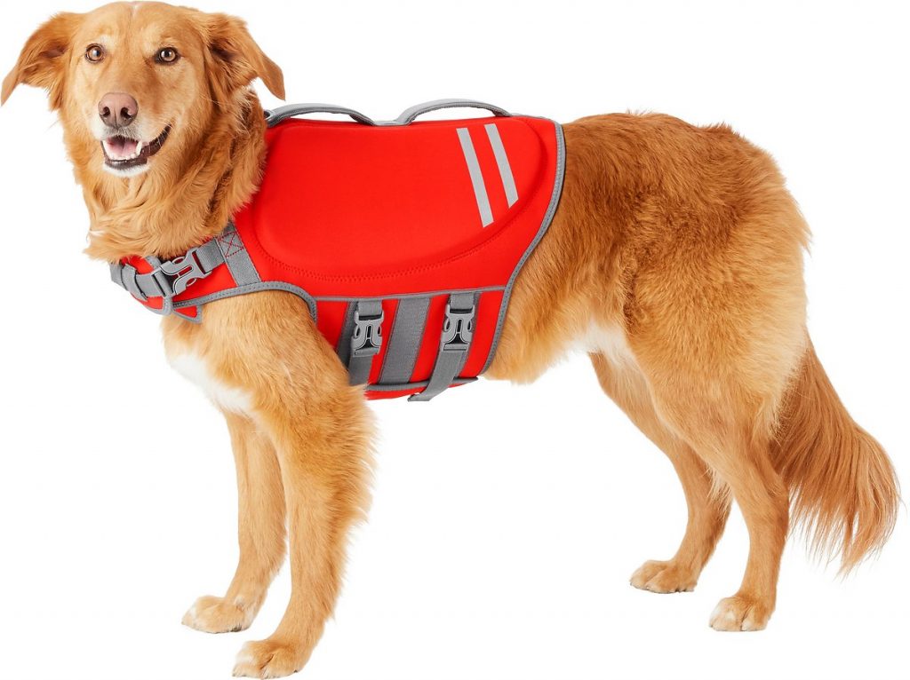 Frisco Neoprene Dog Life Jacket - TomKings Puppies