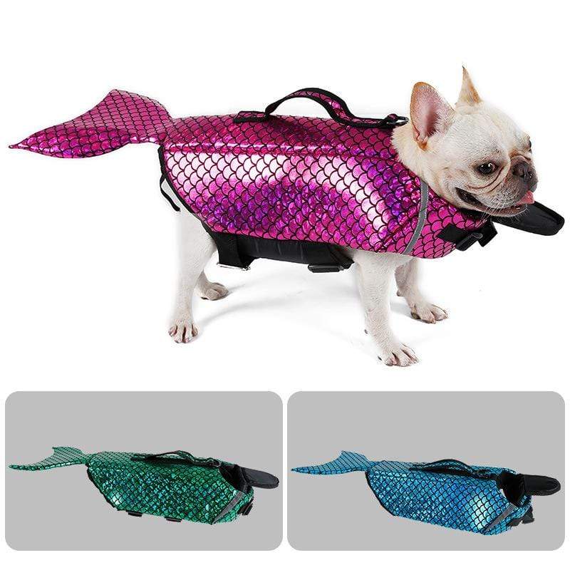 Be cautious with mermaid dog life jackets 