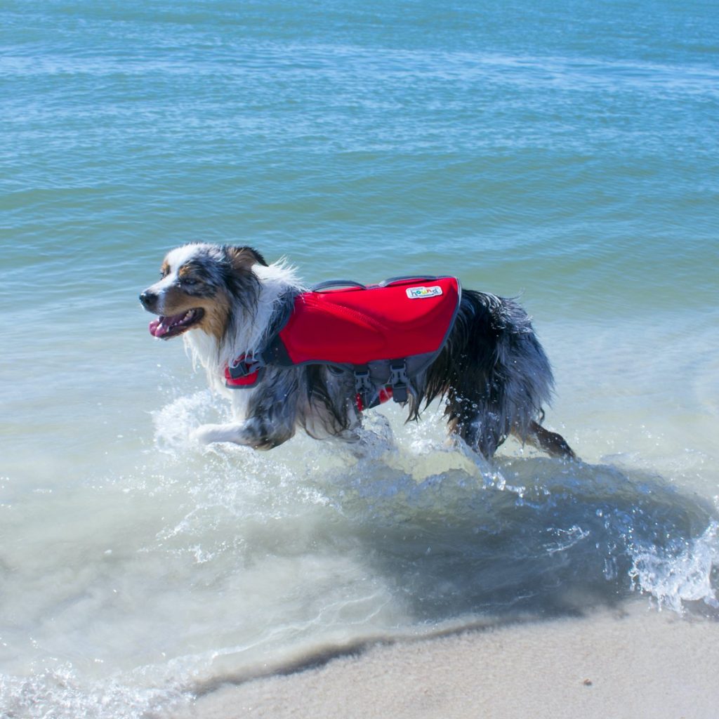 Outward Hound Neoprene Dawson Swimmer Dog Life Jacket - TomKings Puppies