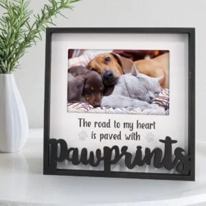 Malden International Designs "Pawprints" Box Picture Frame, 4 x 6-in - TomKings Shop