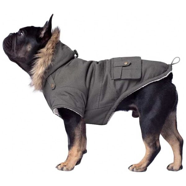 Canada Pooch Alaskan Army Premium Faux Down Insulated Dog Parka - TomKings Shop