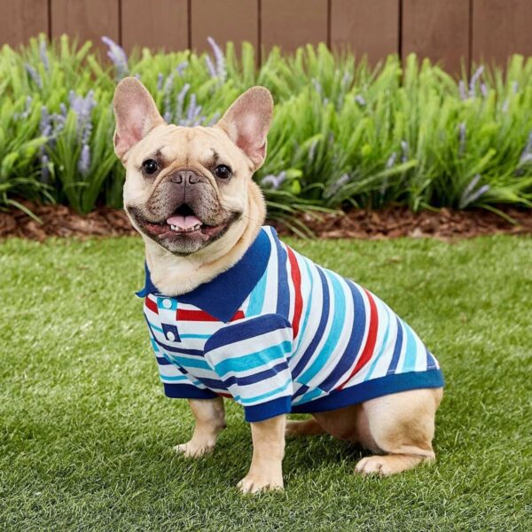 Frisco Striped Dog & Cat Polo Shirt, Red & Blue - TomKings Shop