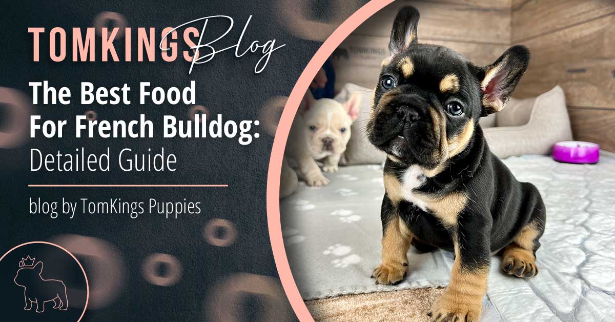 Best Dog Food for French Bulldog: Top Recommendations for Optimal Nutrition