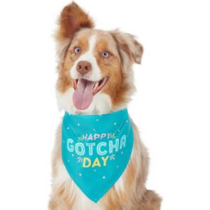 Frisco Happy Gotcha Day Dog & Cat Bandana - TomKings Shop