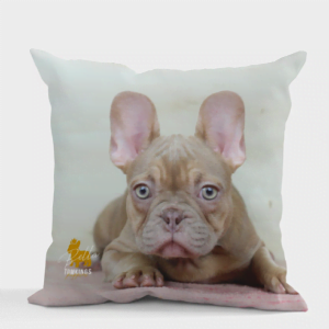Custom TomKings Pillow for French Bulldogs in the TomKings Shop
