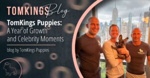 TomKings Puppies: A Year of Growth and Celebrity Moments