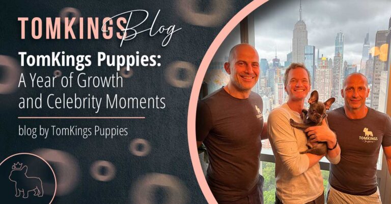 TomKings Puppies: A Year of Growth and Celebrity Moments
