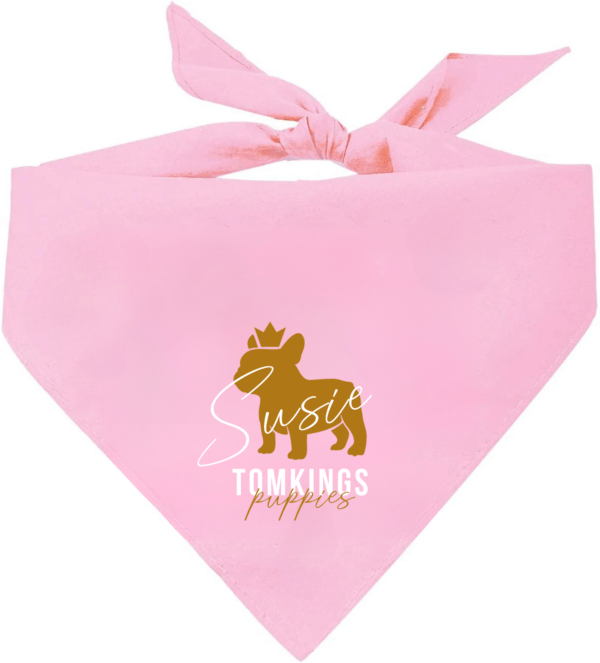 "Custom TomKings Frenchie" Bandana at TomKings Puppies Shop