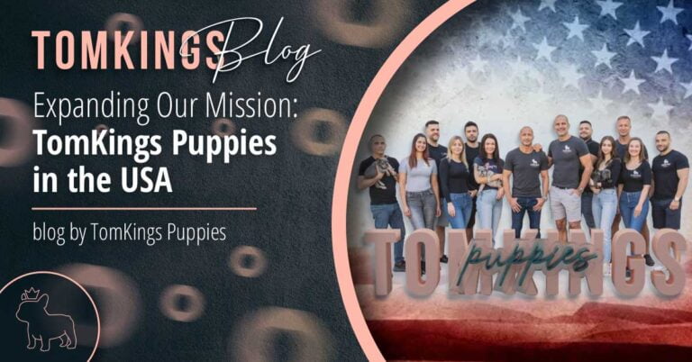 Expanding Our Mission: TomKings Puppies in the USA - TomKings Blog