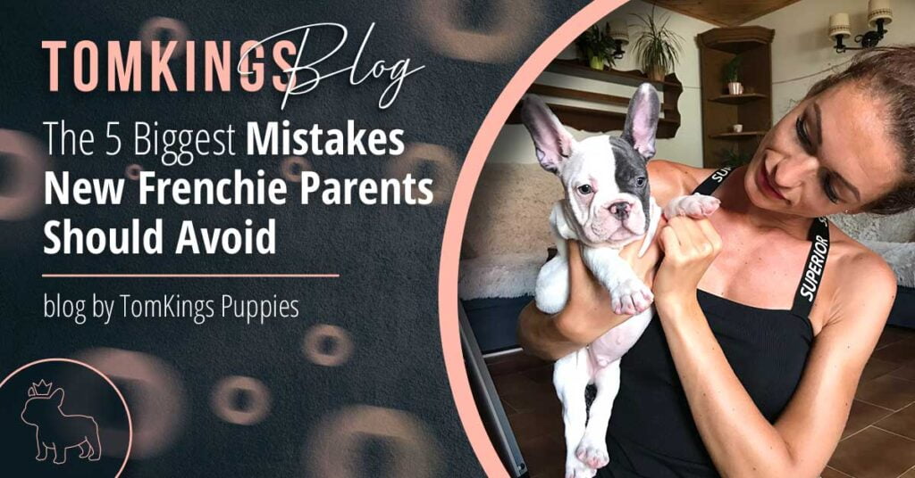 The 5 Biggest Mistakes New Frenchie Parents Should Avoid - TomKings Blog