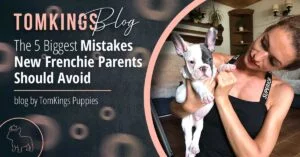 The 5 Biggest Mistakes New Frenchie Parents Should Avoid - TomKings Blog