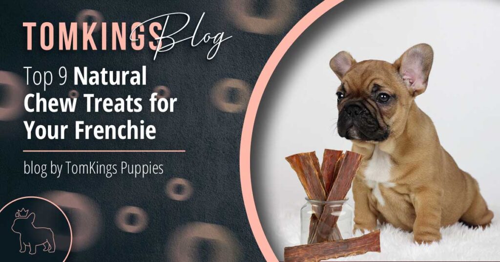 Top 9 Natural Chew Treats for Your Frenchie - TomKings Blog