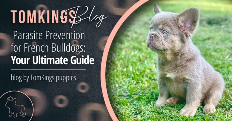 Parasite Prevention for French Bulldogs: Your Ultimate Guide Blog Cover
