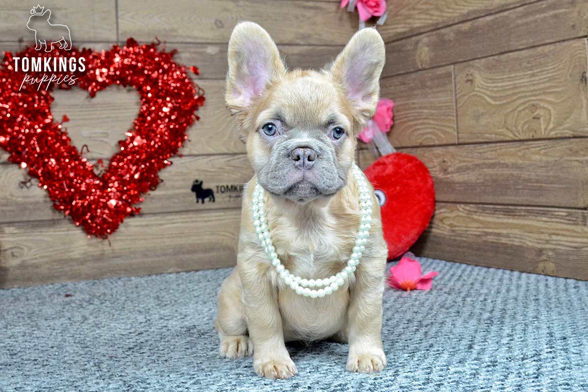 Nancy, the Soft Sidekick