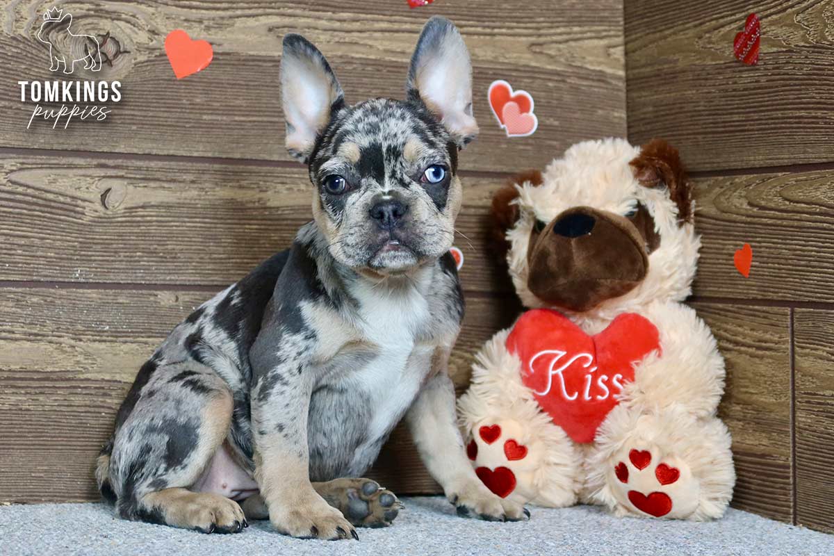 Patsy, the little lady