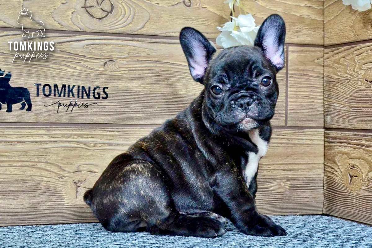 Kimberly, the Small Diva