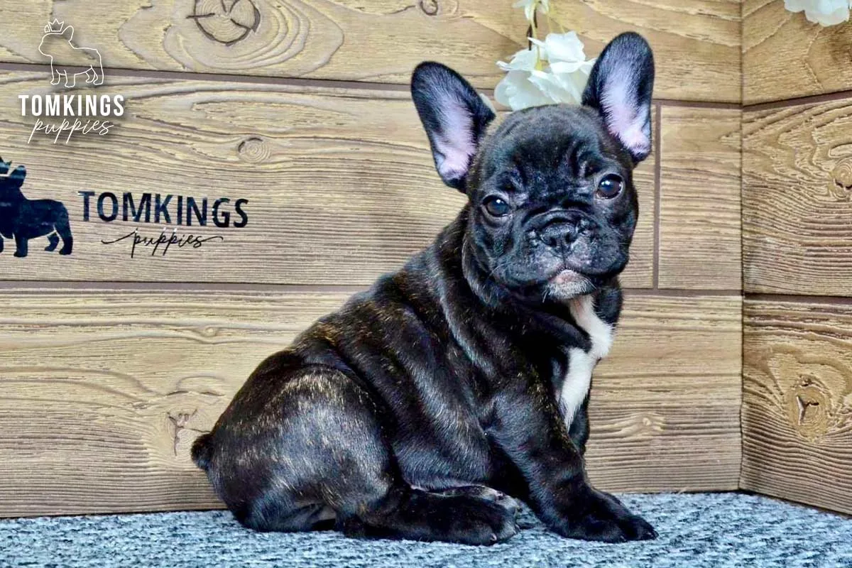 Kimberly, the Small Diva