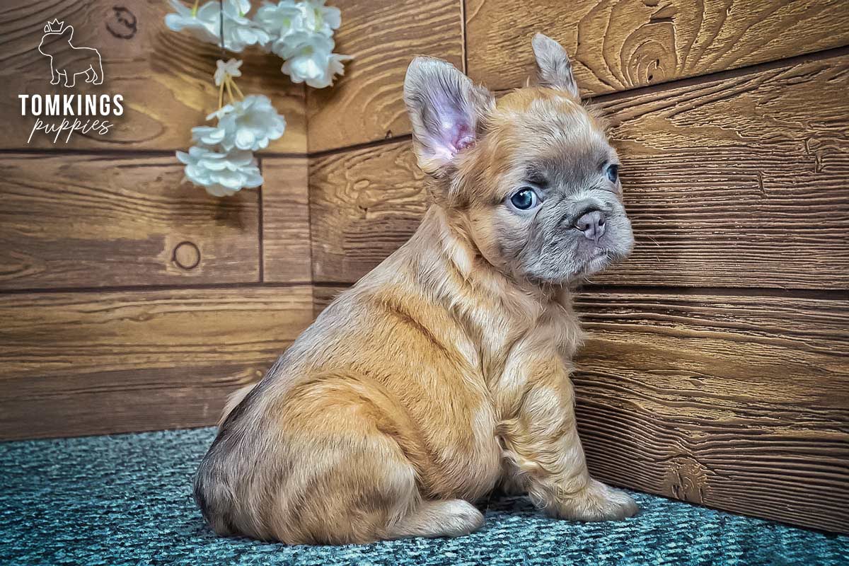 Nancy, the Soft Sidekick