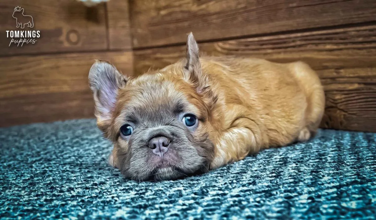 Nancy, the Soft Sidekick