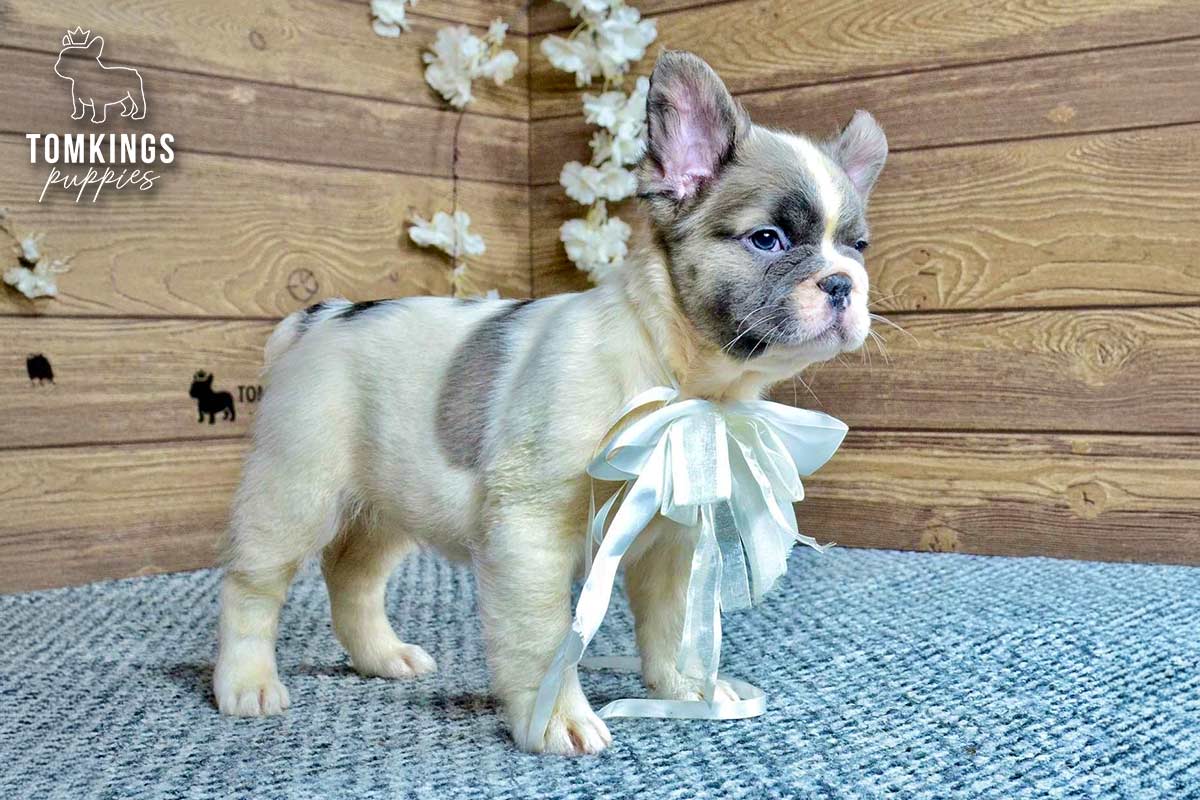 Peyton, the Class Act