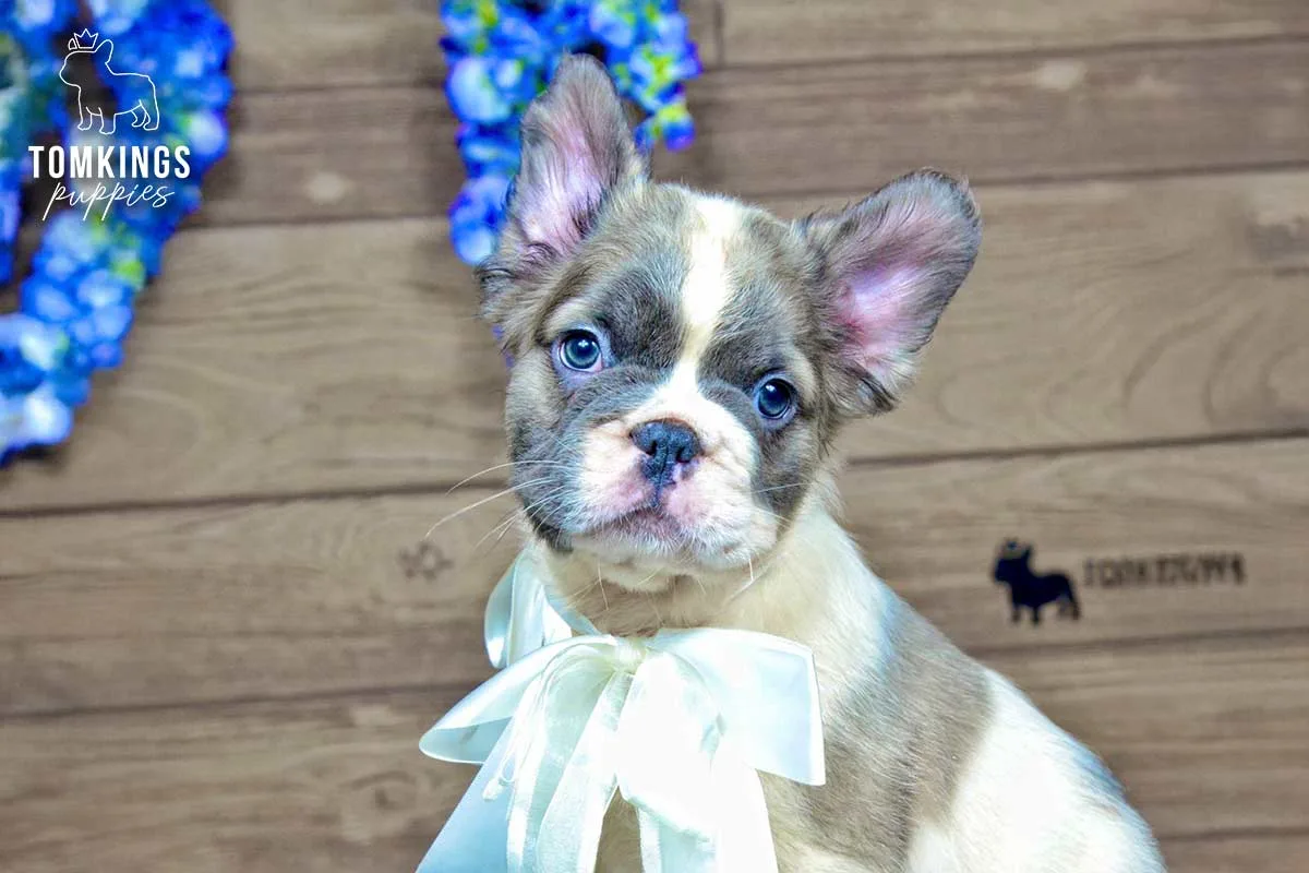 Peyton, the Class Act