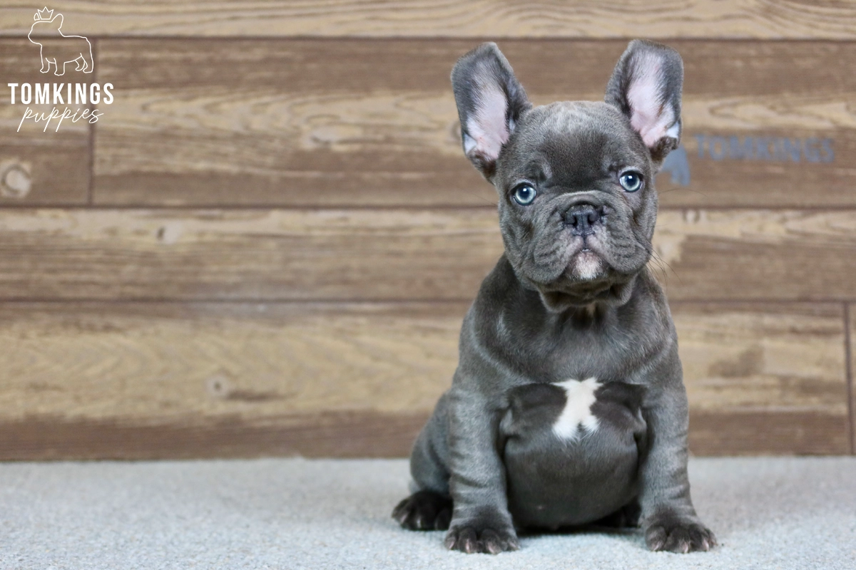 Thea, the Elegant Princess