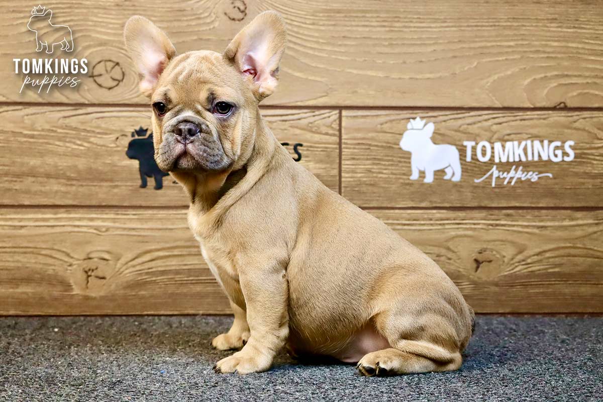 Breckin, the Chill Champion