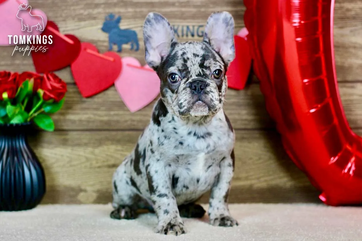 Brixton, the Social Spark