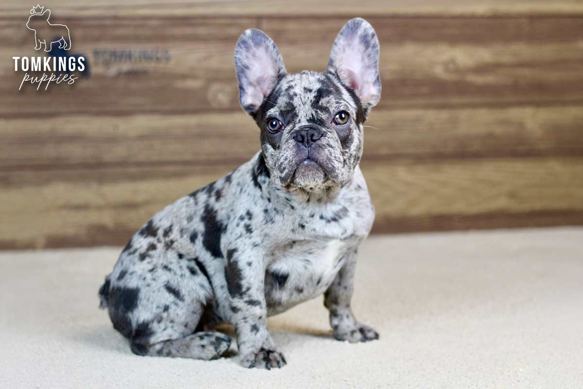 Brixton, the Social Spark