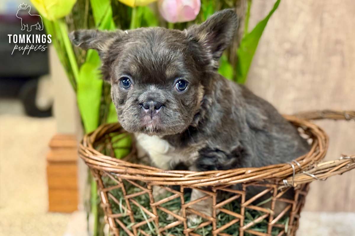 Holly, the Innocent Baby