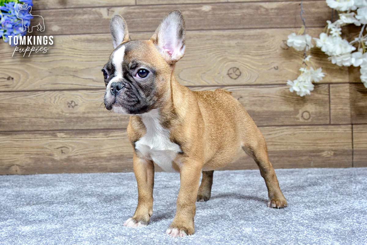 Jane, the Golden Girl