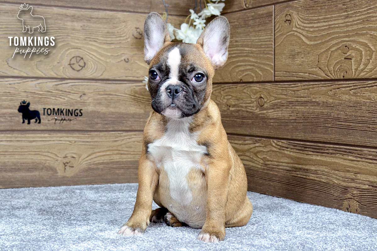 Jane, the Golden Girl