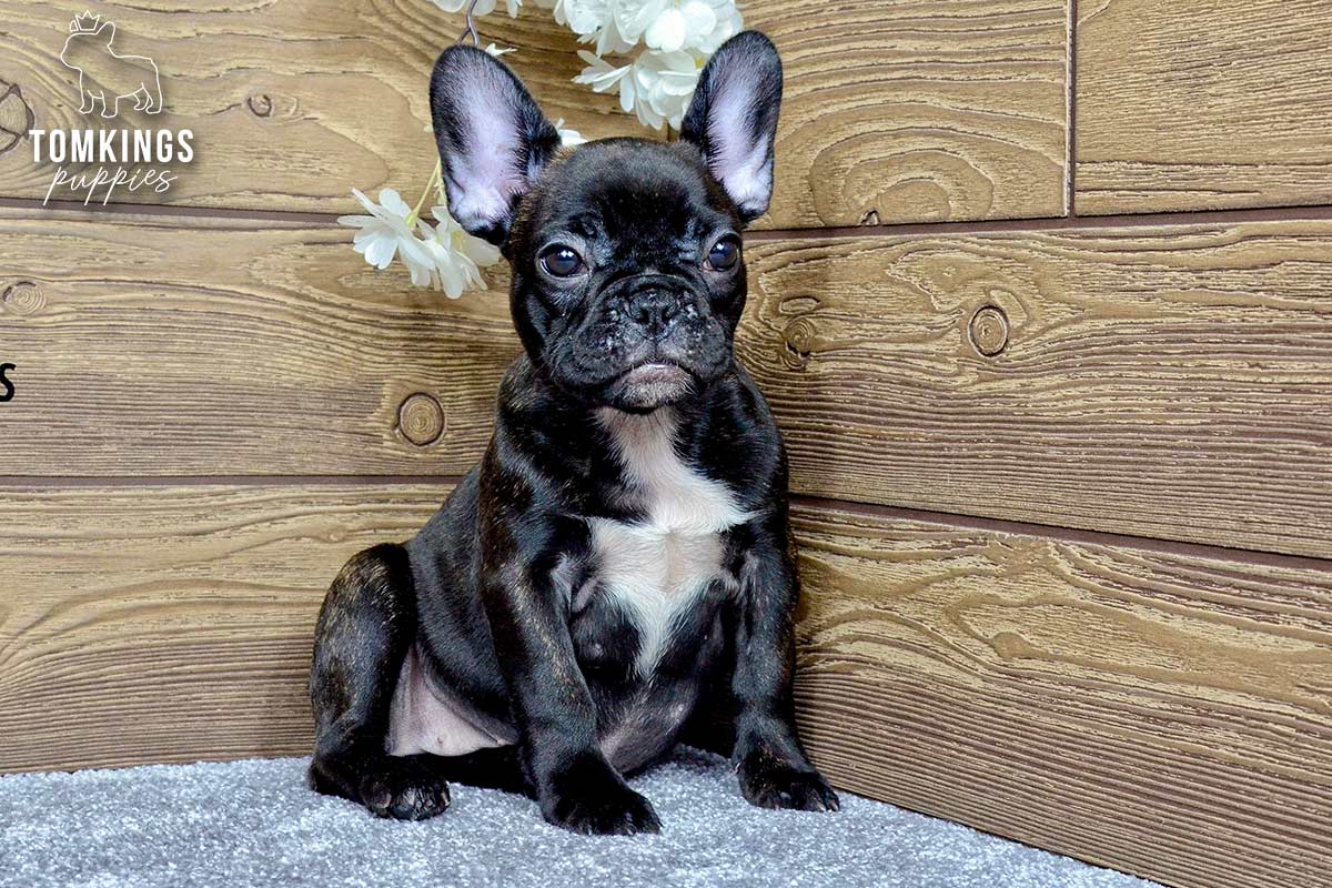 Kimberly, the Small Diva