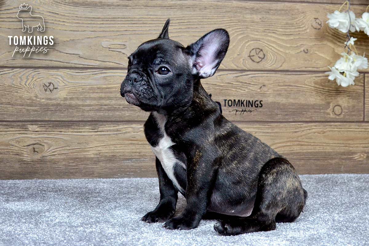 Kimberly, the Small Diva