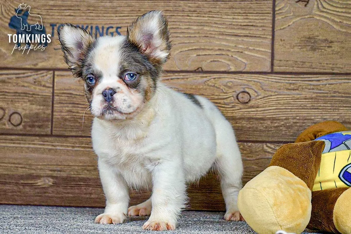 Matthew, the Plush Pal